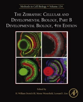The Zebrafish: Cellular and Developmental Biology, Part B Developmental Biology