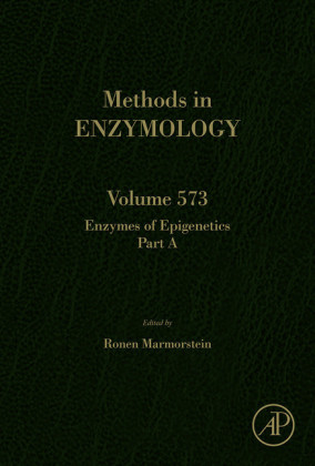 Enzymes of Epigenetics