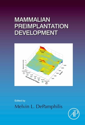 Mammalian Preimplantation Development