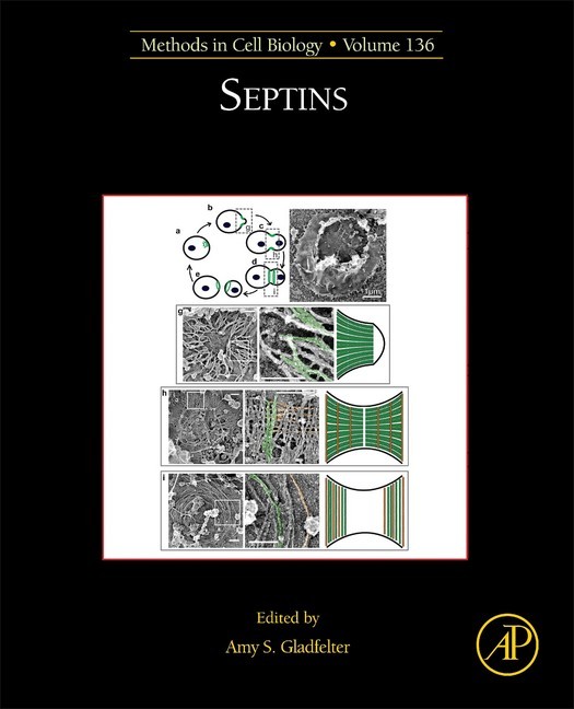 Septins main product photo