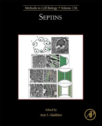 Septins