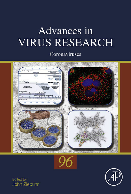 Coronaviruses main product photo
