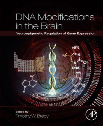 DNA Modifications in the Brain