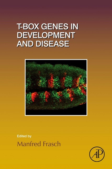 T-box Genes in Development and Disease main product photo