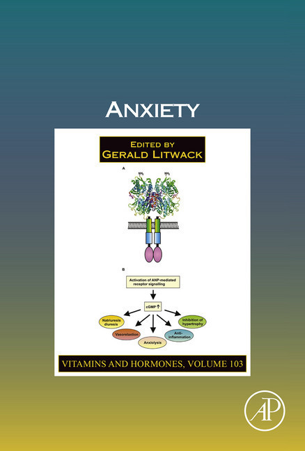 Anxiety main product photo