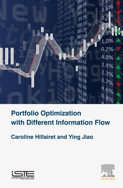 Portfolio Optimization with Different Information Flow main product photo