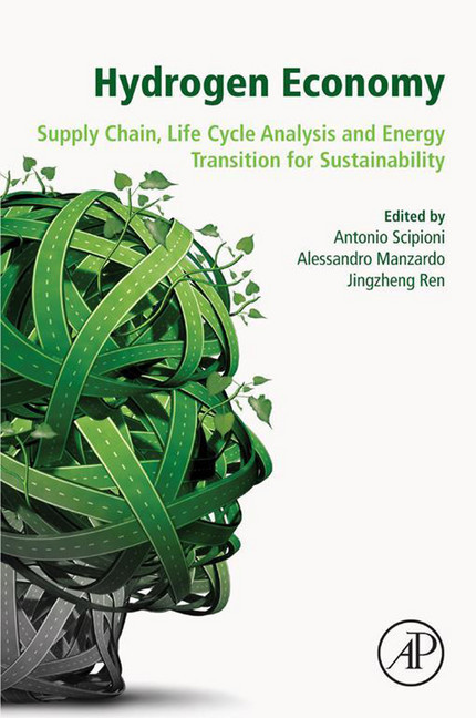 Hydrogen Economy main product photo