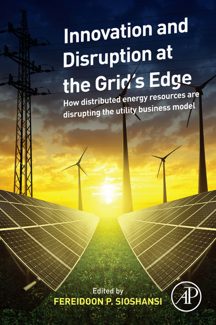 Innovation and Disruption at the Grid's Edge main product photo