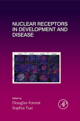 Nuclear Receptors in Development and Disease
