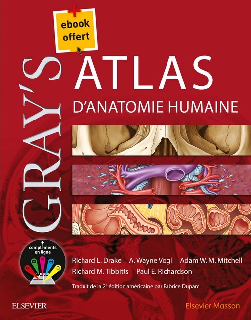 Gray's Atlas d'anatomie humaine main product photo