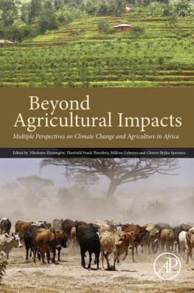 Beyond Agricultural Impacts