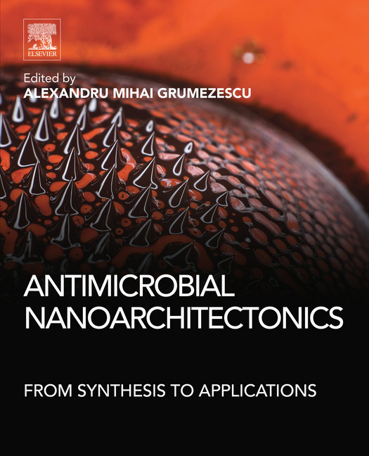 Antimicrobial Nanoarchitectonics main product photo