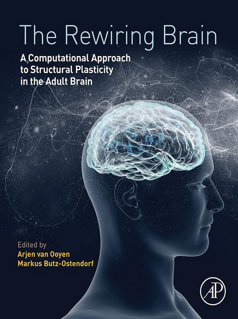 The Rewiring Brain main product photo
