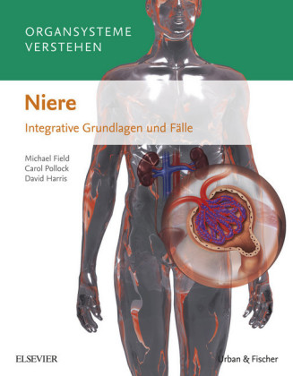 Organsysteme verstehen - Niere