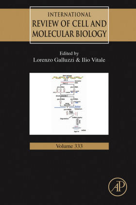 MiRNAs in Differentiation and Development