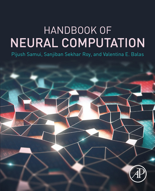 Handbook of Neural Computation main product photo
