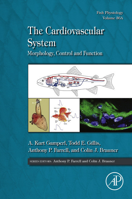 The Cardiovascular System main product photo