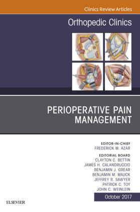 Perioperative Pain Management, An Issue of Orthopedic Clinics, E-Book