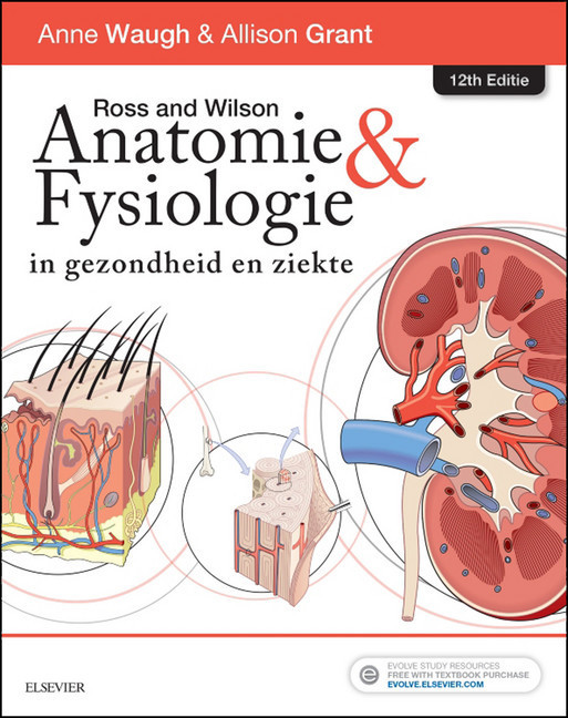 Ross and Wilson Anatomie en Fysiologie in gezondheid en ziekte - E-Book main product photo