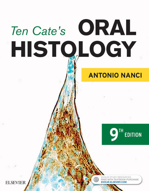 Ten Cate's Oral Histology - E-Book main product photo