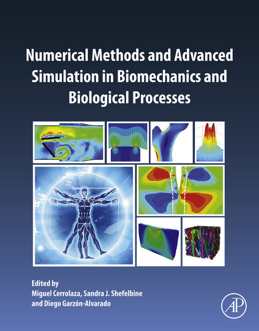 Numerical Methods and Advanced Simulation in Biomechanics and Biological Processes main product photo