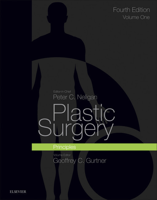 Plastic Surgery E-Book main product photo
