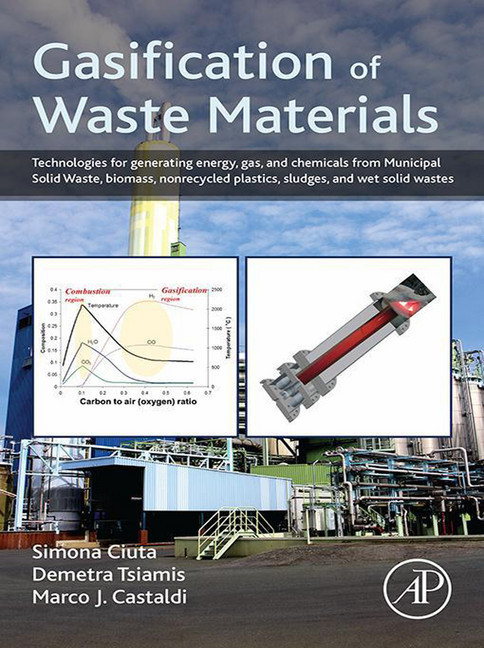 Gasification of Waste Materials main product photo