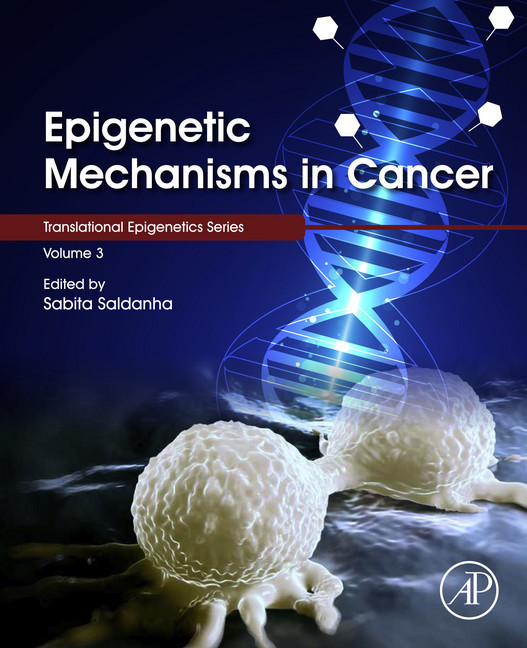 Epigenetic Mechanisms in Cancer main product photo