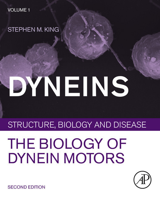 Dyneins main product photo