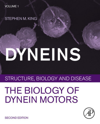 Dyneins