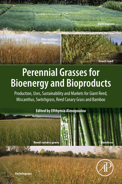 Perennial Grasses for Bioenergy and Bioproducts main product photo