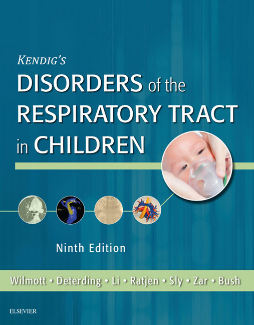 Kendig and Chernick's Disorders of the Respiratory Tract in Children E-Book main product photo