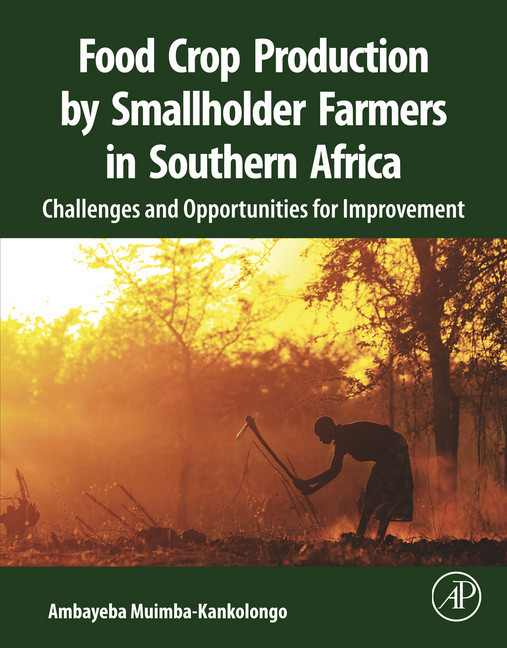 Food Crop Production by Smallholder Farmers in Southern Africa main product photo
