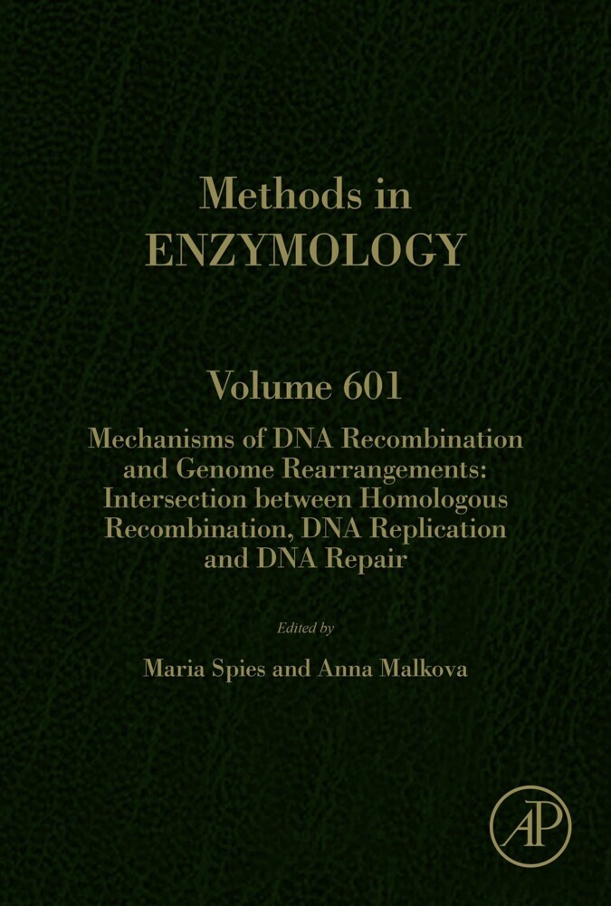 Mechanisms of DNA Recombination and Genome Rearrangements: Intersection Between Homologous Recombination, DNA Replication and DNA Repair main product photo