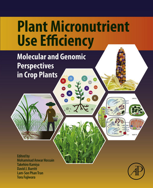Plant Micronutrient Use Efficiency main product photo