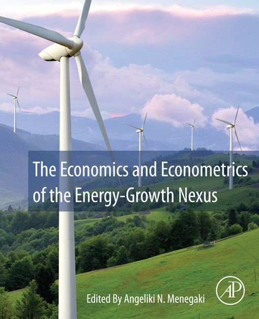 The Economics and Econometrics of the Energy-Growth Nexus main product photo