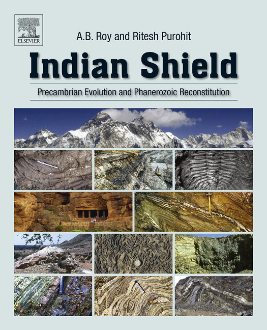 Indian Shield main product photo