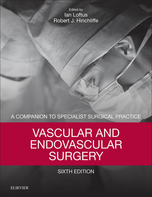 Vascular and Endovascular Surgery E-Book main product photo