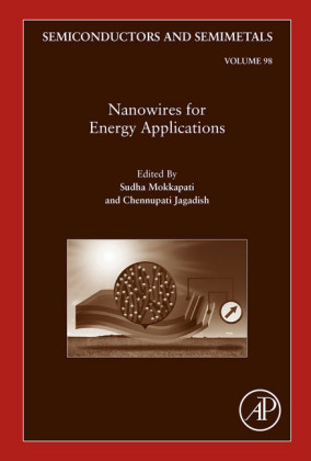 Nanowires for Energy Applications