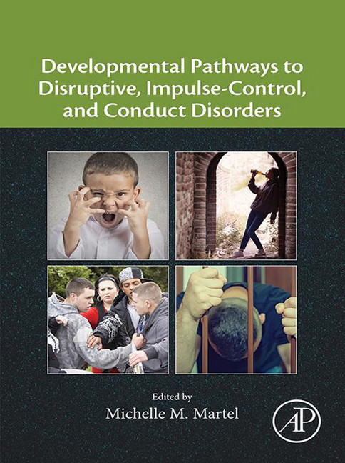 Developmental Pathways to Disruptive, Impulse-Control, and Conduct Disorders main product photo