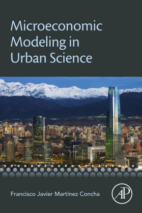 Microeconomic Modeling in Urban Science