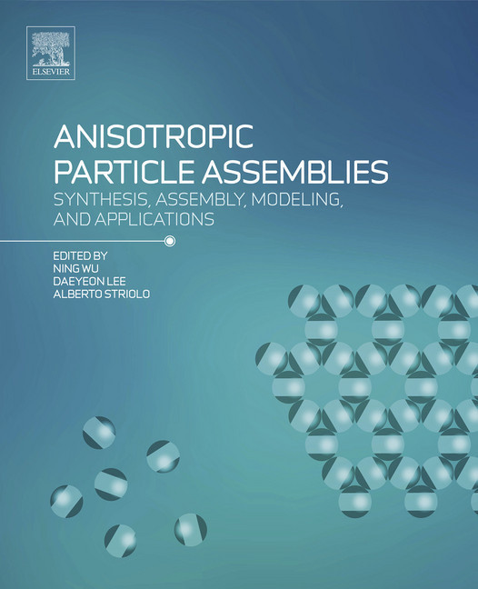 Anisotropic Particle Assemblies main product photo