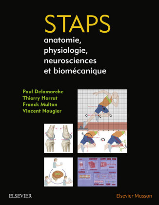 STAPS : anatomie, physiologie, neurosciences et biomécanique