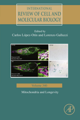 Mitochondria and Longevity