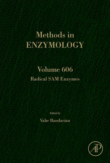 Radical SAM Enzymes main product photo