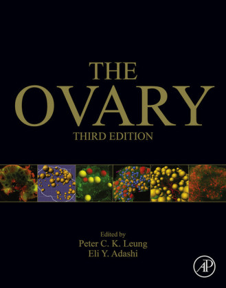 The Ovary