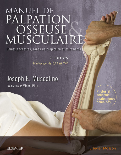 Manuel de palpation osseuse et musculaire, 2e édition main product photo