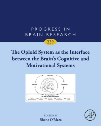 The Opioid System as the Interface between the Brain's Cognitive and Motivational Systems