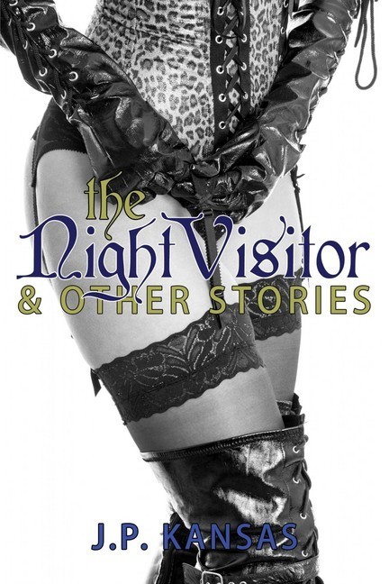 The Night Visitor & Other Erotic Stories main product photo
