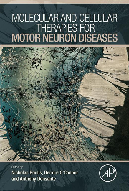Molecular and Cellular Therapies for Motor Neuron Diseases main product photo